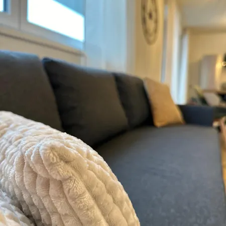 Amao Grey - 86 M2 - Balcony - King-size Beds - Free Parking - Near Europa-park - Up To 12 Guests With 2 Units * 라인하우젠