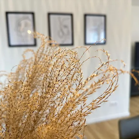 Amao Grey - 86 M2 - Balcony - King-size Beds - Free Parking - Near Europa-park - Up To 12 Guests With 2 Units