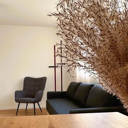 Amao-grey I 86qm I Modernes I 86qm I Balkon, Netflix I Parkplatz I Naehe Europa-park Apartment *