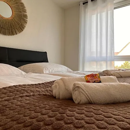 Amao Grey - 86 M2 - Balcony - King-size Beds - Free Parking - Near Europa-park - Up To 12 Guests With 2 Units *