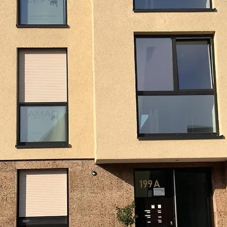 Amao Grey - 86 M2 - Balcony - King-size Beds - Free Parking - Near Europa-park - Up To 12 Guests With 2 Units Lejlighed Rheinhausen